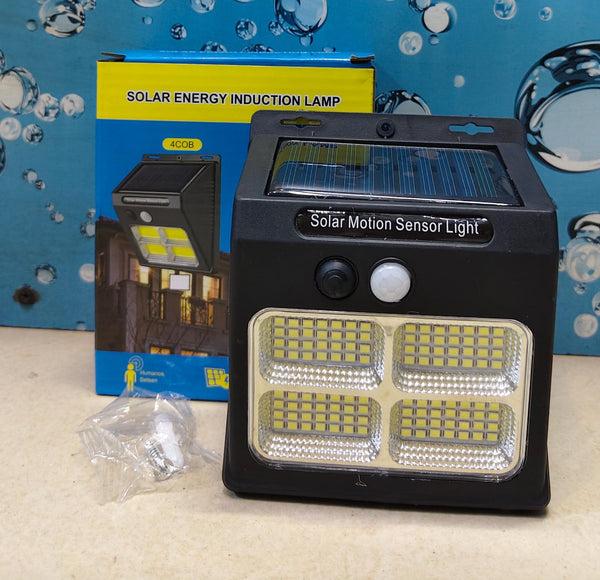 Single Solar Motion Sensor Light