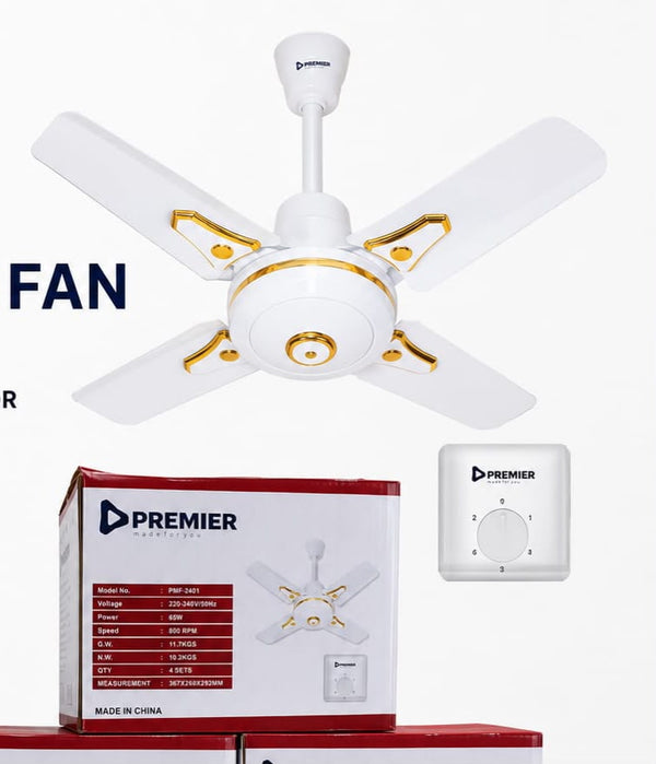 Premier 24-Inch Ceiling Fan – White & Gold